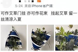 江南app官方入口下载安装截图4